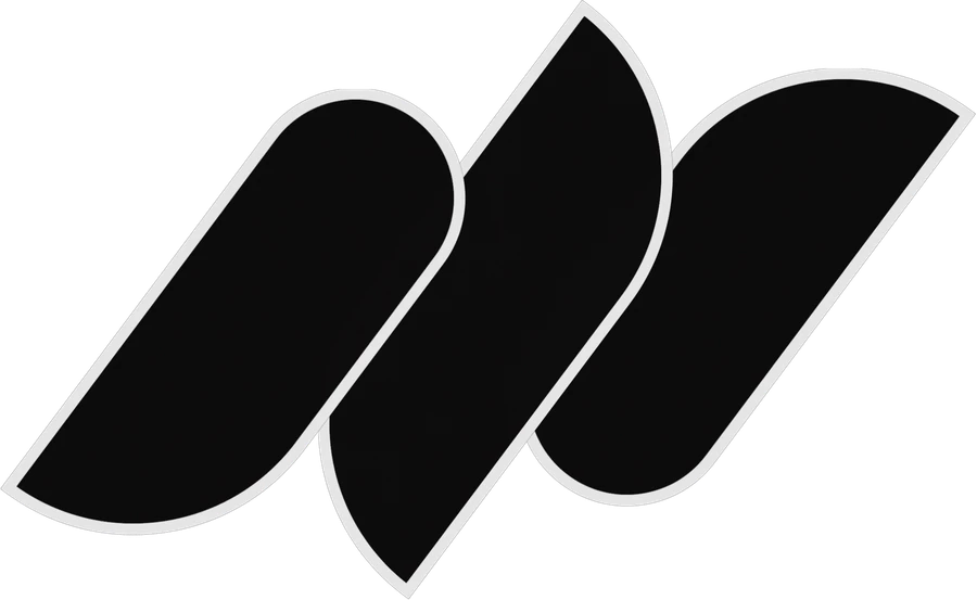 The Net Worth Nexus mark in black